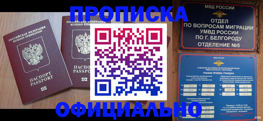 найти адрес прописки в Лысково